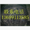 北京電纜回收